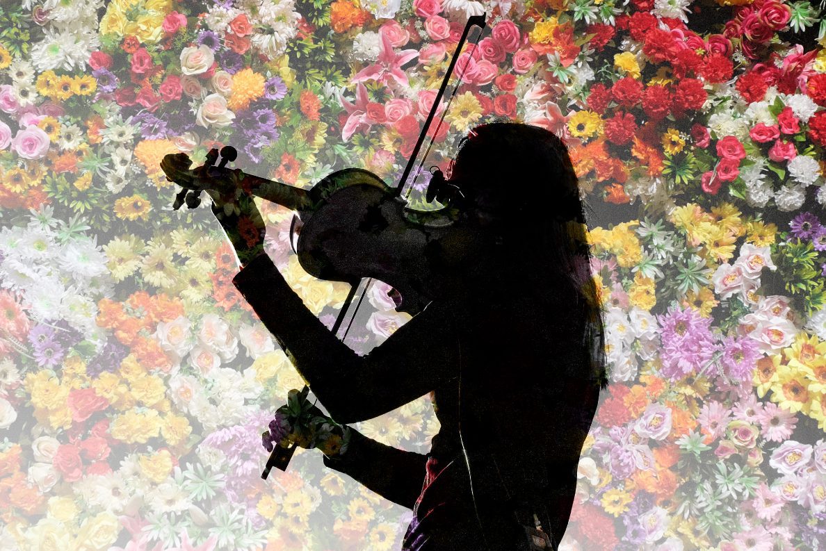 Cartel del evento «Viola bouquet»